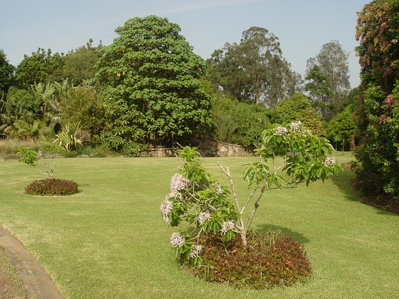 booroowhangary-nov09 022.jpg